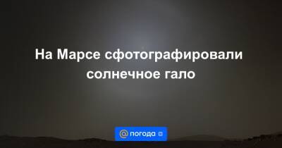 Анна Лысенко - На Марсе сфотографировали солнечное гало - news.mail.ru