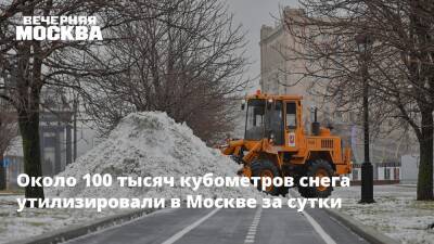 Около 100 тысяч кубометров снега утилизировали в Москве за сутки - vm.ru - Москва