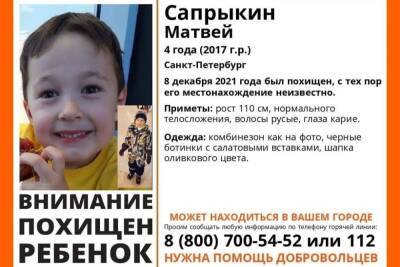Похищенного отцом 4-летнего ребенка продолжают искать в Псковской области - mk-pskov.ru - Россия - Санкт-Петербург - Псковская обл.