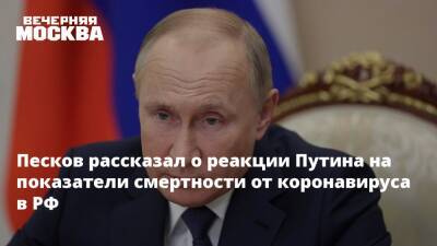 Владимир Путин - Дмитрий Песков - Песков рассказал о реакции Путина на показатели смертности от коронавируса в РФ - vm.ru - Россия