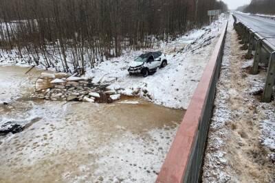 Две петербурженки погибли в автомобиле, провалившемся под лед реки в Псковской области - spb.mk.ru - Санкт-Петербург - Псковская обл. - Псков - район Гдовский