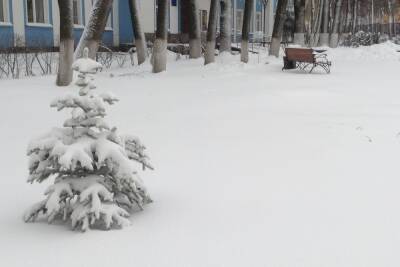Смоленск в понедельник ждет понижение температуры - mk-smolensk.ru - Смоленск - Смоленская обл.