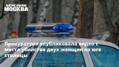 Прокуратура опубликовала видео с места убийства двух женщин на юге столицы - vm.ru - Москва - Москва