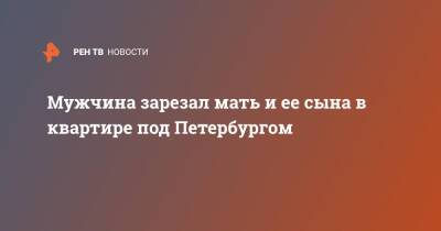 Мужчина зарезал мать и ее сына в квартире под Петербургом - ren.tv - Ленинградская обл. - Санкт-Петербург