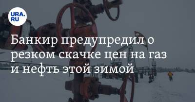Стин Якобсен - Банкир предупредил о резком скачке цен на газ и нефть этой зимой - ura.news