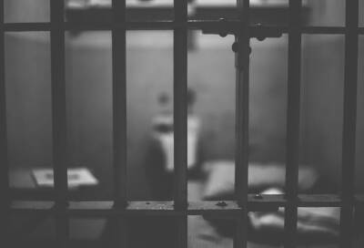 Житель Петербурга получил 13 лет колонии за жестокое убийство из ревности - online47.ru - Петербурга
