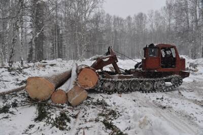 Одобрена продажа японской Iida Group крупнейшей дальневосточной лесной компании - lenta.ru - Россия - Япония