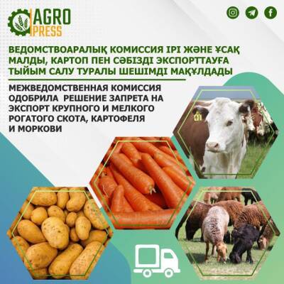 Казахстан запретит экспорт крупного и мелкого рогатого скота, картофеля и моркови - produkt.by - Казахстан - Белоруссия