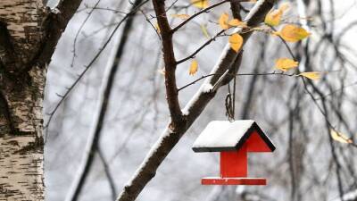 Синоптики рассказали москвичам о погоде 2 декабря - vm.ru - Москва - Московская обл.