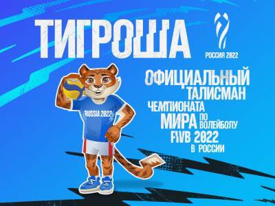 Талисман FIVB-2022 Тигроша приедет в Новосибирск после Нового года - sib.fm - Новосибирск