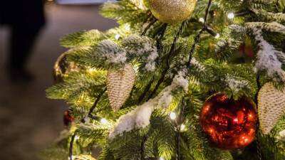 Айсен Николаев - Новый год уже скоро: в Якутии установили первую елку в России - mir24.tv - Россия - респ. Саха - Якутск