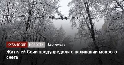 Жителей Сочи предупредили о налипании мокрого снега - kubnews.ru - Россия - Сочи - Краснодарский край