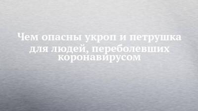 Чем опасны укроп и петрушка для людей, переболевших коронавирусом - chelny-izvest.ru
