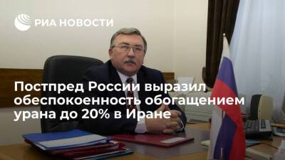 Михаил Ульянов - Постпред России Ульянов: обогащение урана до 20% в Иране вызывает озабоченность - ria.ru - Россия - Иран - Вена