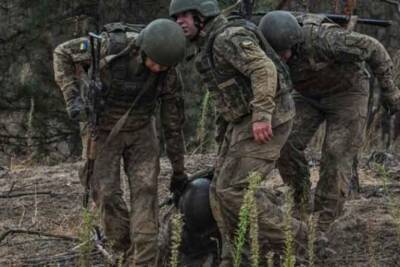 На границе Украины с Белоруссией украинские военные расстреляли группу мигрантов - free-news.su - Украина - Белоруссия