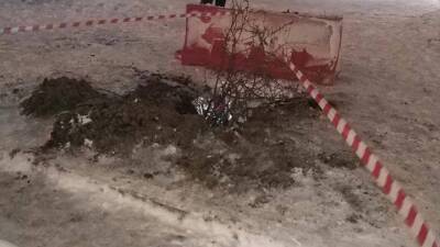 12-летняя девочка провалилась в яму на севере Москвы - vm.ru - Москва - Челябинская обл.