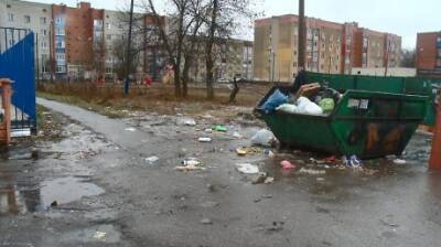 Контейнерная площадка на улице Егорова за три года не стала чище - penzainform.ru