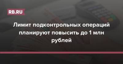 Александр Наумов - Лимит подконтрольных операций планируют повысить до 1 млн рублей - rb.ru
