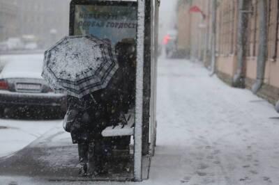 Михаил Леус - Петербург пережил самую холодную ночь с начала зимнего сезона - neva.today - Санкт-Петербург