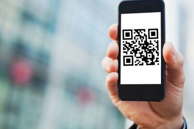 Где не нужен QR-код в Петербурге до 27 декабря 2021 года - spb.mk.ru - Санкт-Петербург