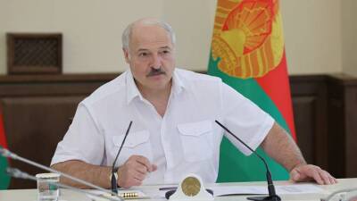 Александр Лукашенко - Лукашенко допустил досрочные выборы после принятия новой конституции - vm.ru - Белоруссия - Конституция