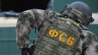 Задержанный в России агент военной разведки Украины планировал теракт - russian.rt.com - Россия - Украина - Киевская обл.