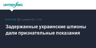 Задержанные украинские шпионы дали признательные показания - interfax.ru - Москва - Россия - Украина