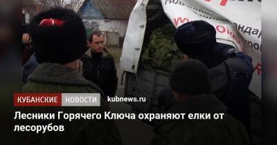 Лесники Горячего Ключа охраняют елки от лесорубов - kubnews.ru - Россия - Новороссийск