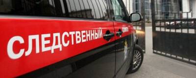В Архангельске после стрельбы у ресторана возбудили дело за покушение на убийство - runews24.ru - Архангельск - окр.Ненецкий - Архангельская обл.