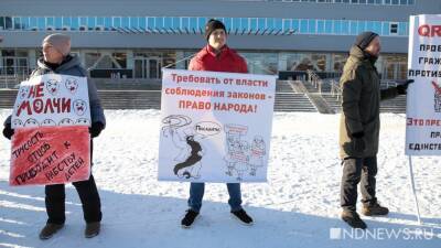 Жители Нижнего Тагила проведут пикет против QR-кодов - newdaynews.ru - Россия - Нижний Тагил