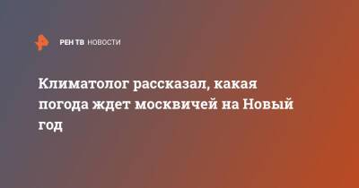 Климатолог рассказал, какая погода ждет москвичей на Новый год - ren.tv - Москва