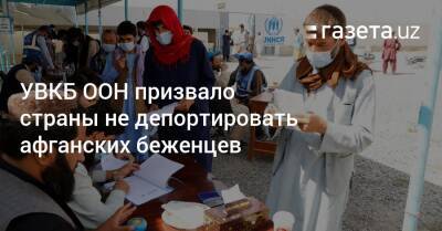 УВКБ ООН призвало страны не депортировать афганских беженцев - gazeta.uz - Узбекистан - Иран - Таджикистан - Афганистан - Пакистан