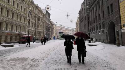 Горожане выразили недовольство попытками властей Петербурга бороться со снегом с помощью реагентов - inforeactor.ru - Санкт-Петербург - Финляндия