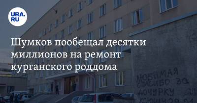 Вадим Шумков - Шумков пообещал десятки миллионов на ремонт курганского роддома. Фото - ura.news - Курганская обл.