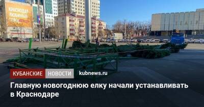 Главную новогоднюю елку начали устанавливать в Краснодаре - kubnews.ru - Краснодарский край - Краснодар - Болгария