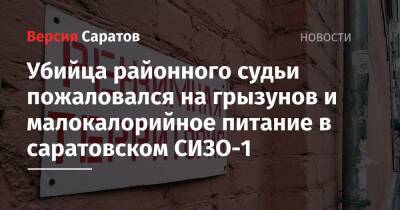Убийца районного судьи пожаловался на грызунов и малокалорийное питание в саратовском СИЗО-1 - nversia.ru - Россия - Воронеж - Саратов - район Железнодорожный, Воронеж
