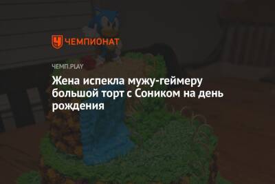 Жена испекла мужу-геймеру большой торт с Соником на день рождения - championat.com