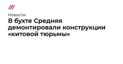 В бухте Средняя демонтировали конструкции «китовой тюрьмы» - tvrain.ru - Китай - Приморье край