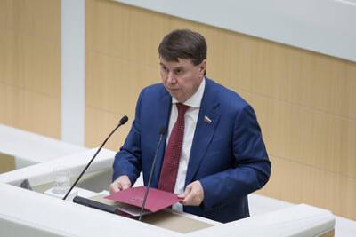 Сергей Цеков - В Совфеде назвали условия возобновления диалога Москвы с НАТО - lenta.ru - Москва - Россия