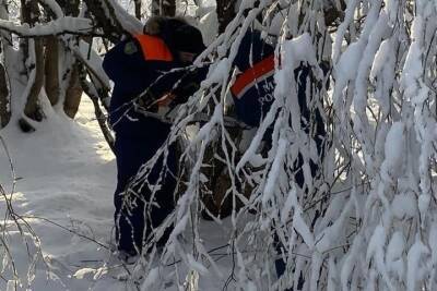 В МЧС признались, сколько новгородцев до сих пор сидят без света после мощного снегопада - mk.ru - Великий Новгород