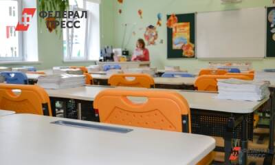 В Озерске ввели дистанционное обучение для школьников и студентов колледжей - fedpress.ru - Челябинская обл. - Озерск - Снежинск