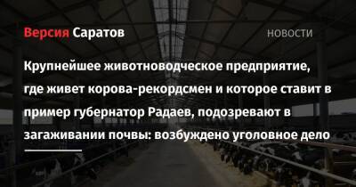 Крупнейшее животноводческое предприятие, где живет корова-рекордсмен и которое ставит в пример губернатор Радаев, подозревают в загаживании почвы: возбуждено уголовное дело - nversia.ru - Россия - Саратовская обл.