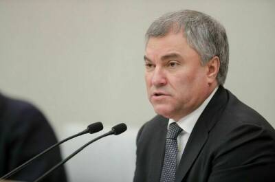 Вячеслав Володин - Владимир Андрейченко - Володин назвал ситуацию с мигрантами на границе Белоруссии и Польши «делом всей Европы» - pnp.ru - Белоруссия - Польша