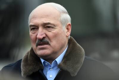 Александр Лукашенко - Игорь Бабушкин - Лукашенко пообещал отдать России «последнее зерно» - lenta.ru - Россия - Белоруссия - Астраханская обл.