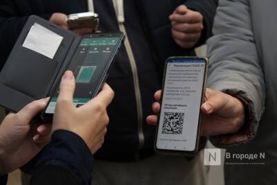 Проверки пройдут в пускающих посетителей без QR-кодов нижегородских ТЦ - vgoroden.ru - Торговля