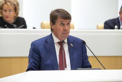 Владимир Зеленский - Дмитрий Песков - Сергей Цеков - Сенатор от Крыма оценил вероятность решения Зеленского атаковать полуостров - lenta.ru - Россия - Украина - Киев - Крым