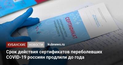 Алексей Кузнецов - Срок действия сертификатов переболевших COVID-19 россиян продлили до года - kubnews.ru - Россия - Краснодарский край
