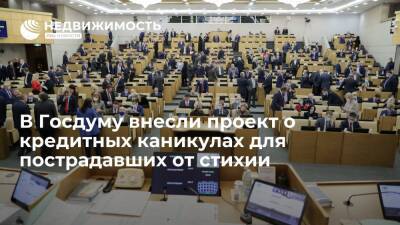 Наталья Костенко - Иван Демченко - В Госдуму внесли проект о кредитных каникулах для пострадавших от стихийных бедствий - realty.ria.ru - Москва - Россия