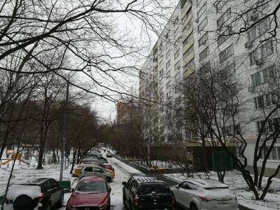Первый день зимы оказался самым снежным в Москве за последние пять лет - rosbalt.ru - Москва
