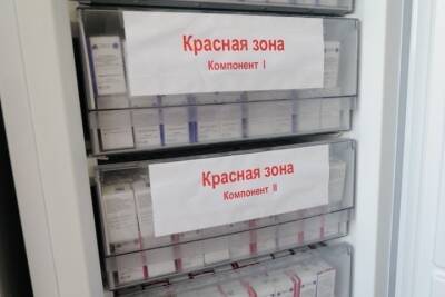 Тамбовчане, переболевшие COVID-19, получат новые сертификаты, действующие 12 месяцев - tambov.mk.ru